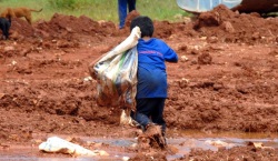 Foz do Iguaçu deve adequar políticas públicas de combate ao trabalho infantil após ação do MPT-PR